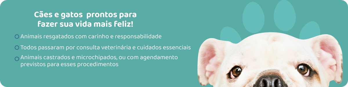 Banner com um cachorro