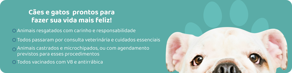 Banner com um cachorro